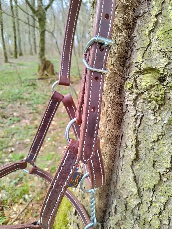 Licol cuir attache